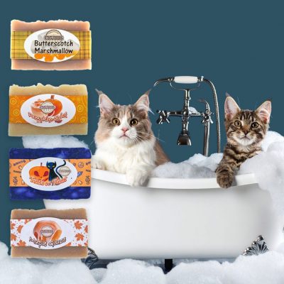 Chubbs Bar Autumn Bundle