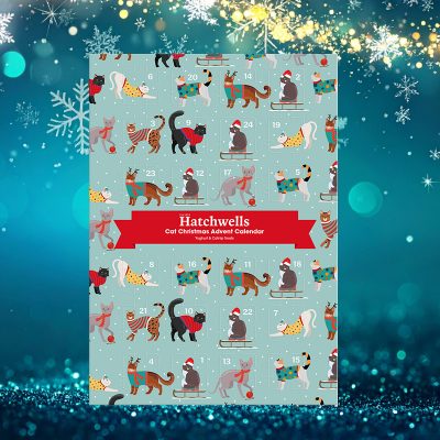 Hatchwells Advent Calendar